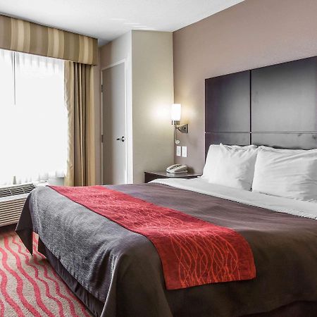Comfort Inn Los Angeles Near Hollywood מראה חיצוני תמונה