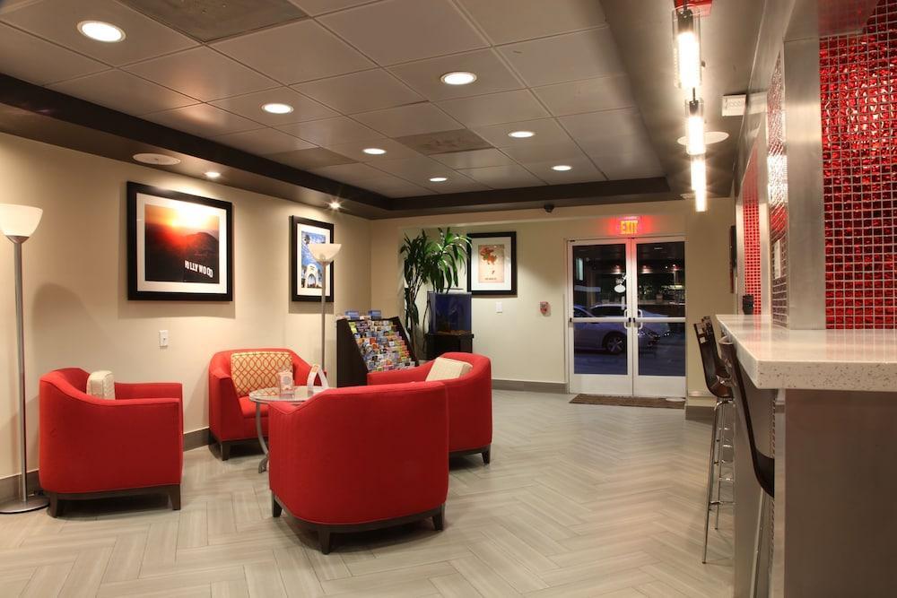 Comfort Inn Los Angeles Near Hollywood מראה חיצוני תמונה