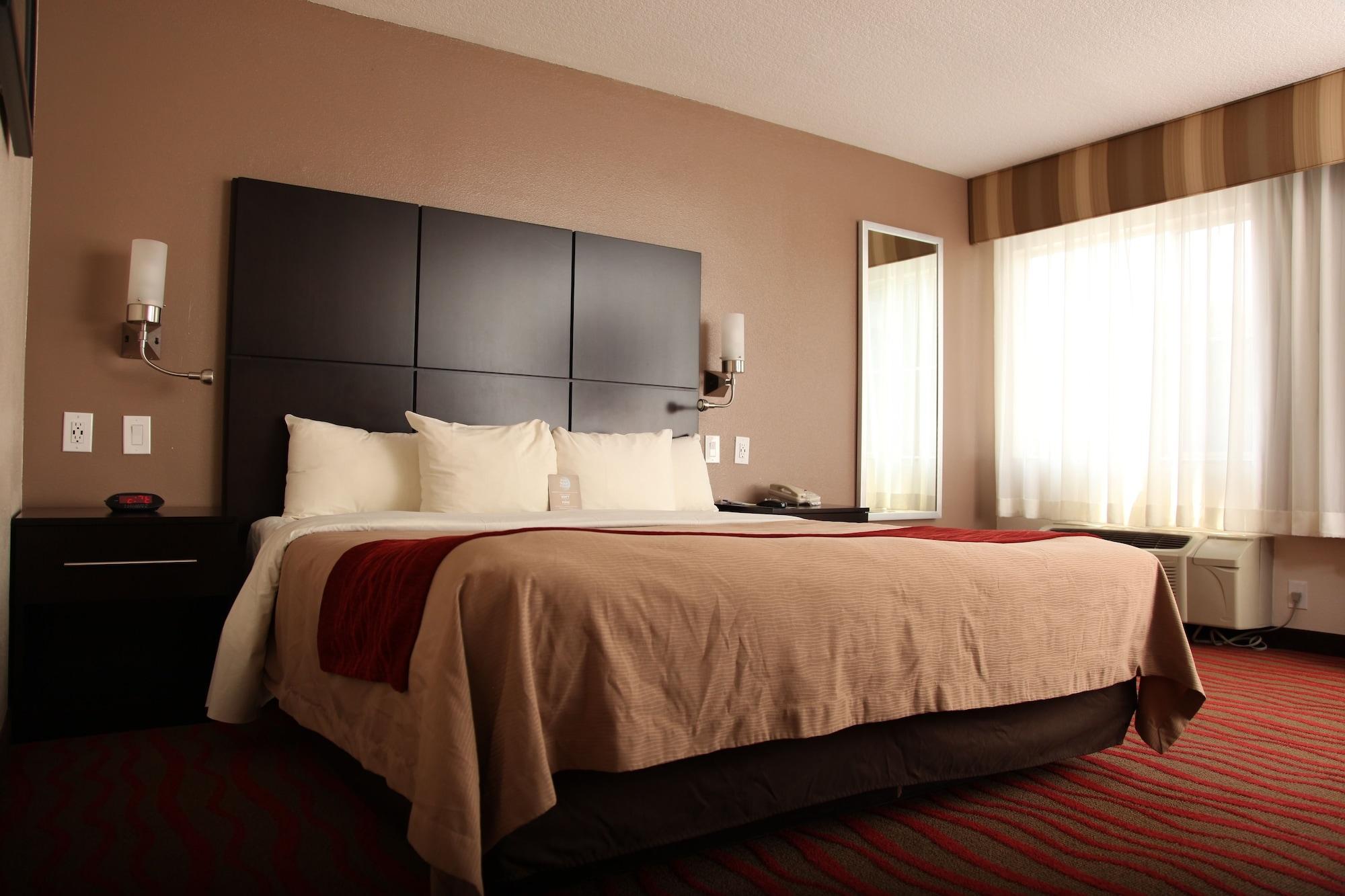 Comfort Inn Los Angeles Near Hollywood מראה חיצוני תמונה