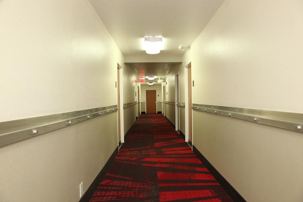 Comfort Inn Los Angeles Near Hollywood מראה חיצוני תמונה