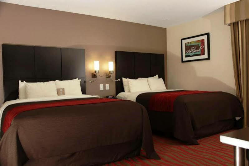 Comfort Inn Los Angeles Near Hollywood מראה חיצוני תמונה